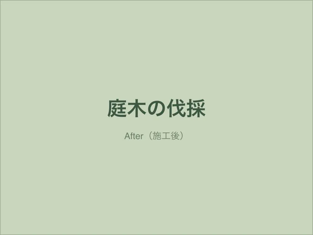 大きくなりすぎた庭木の伐採（施工後）