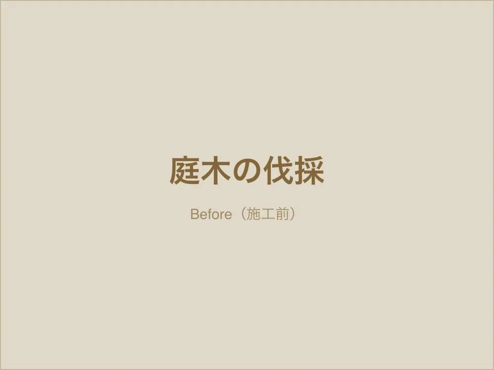 大きくなりすぎた庭木の伐採（施工前）