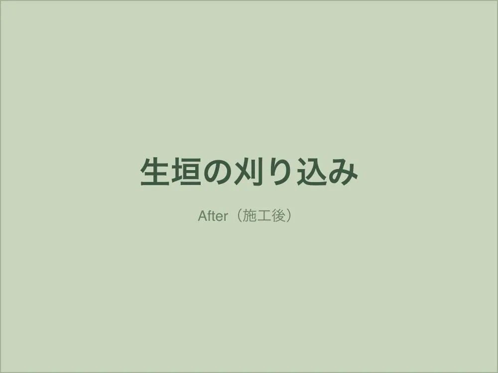 生垣の刈り込み（施工後）