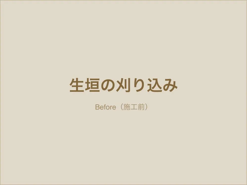生垣の刈り込み（施工前）